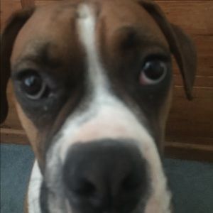 Meet your Posher, Chris